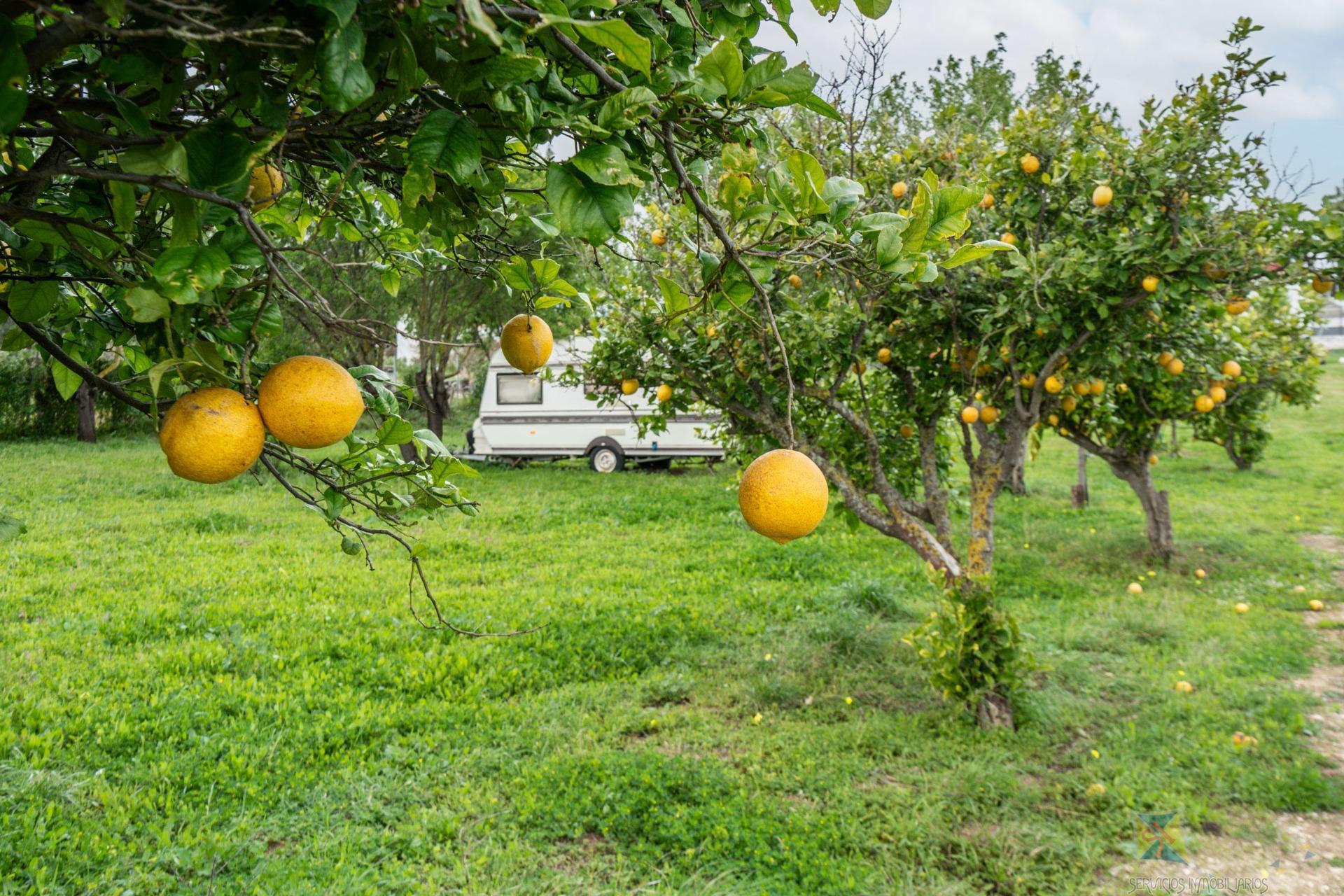 Venta de  en Chiclana de la Frontera
