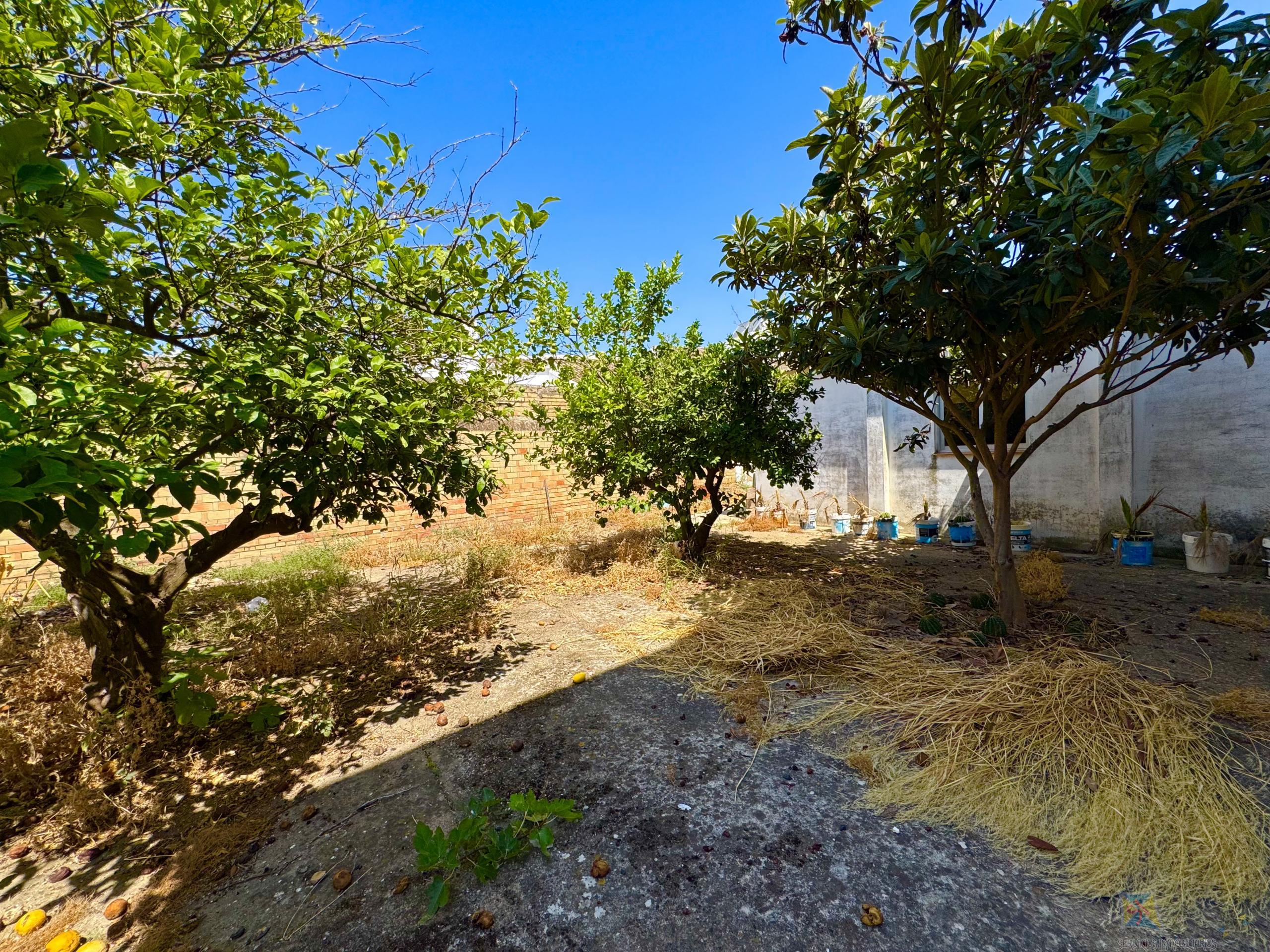 Venta de casa en Olivares