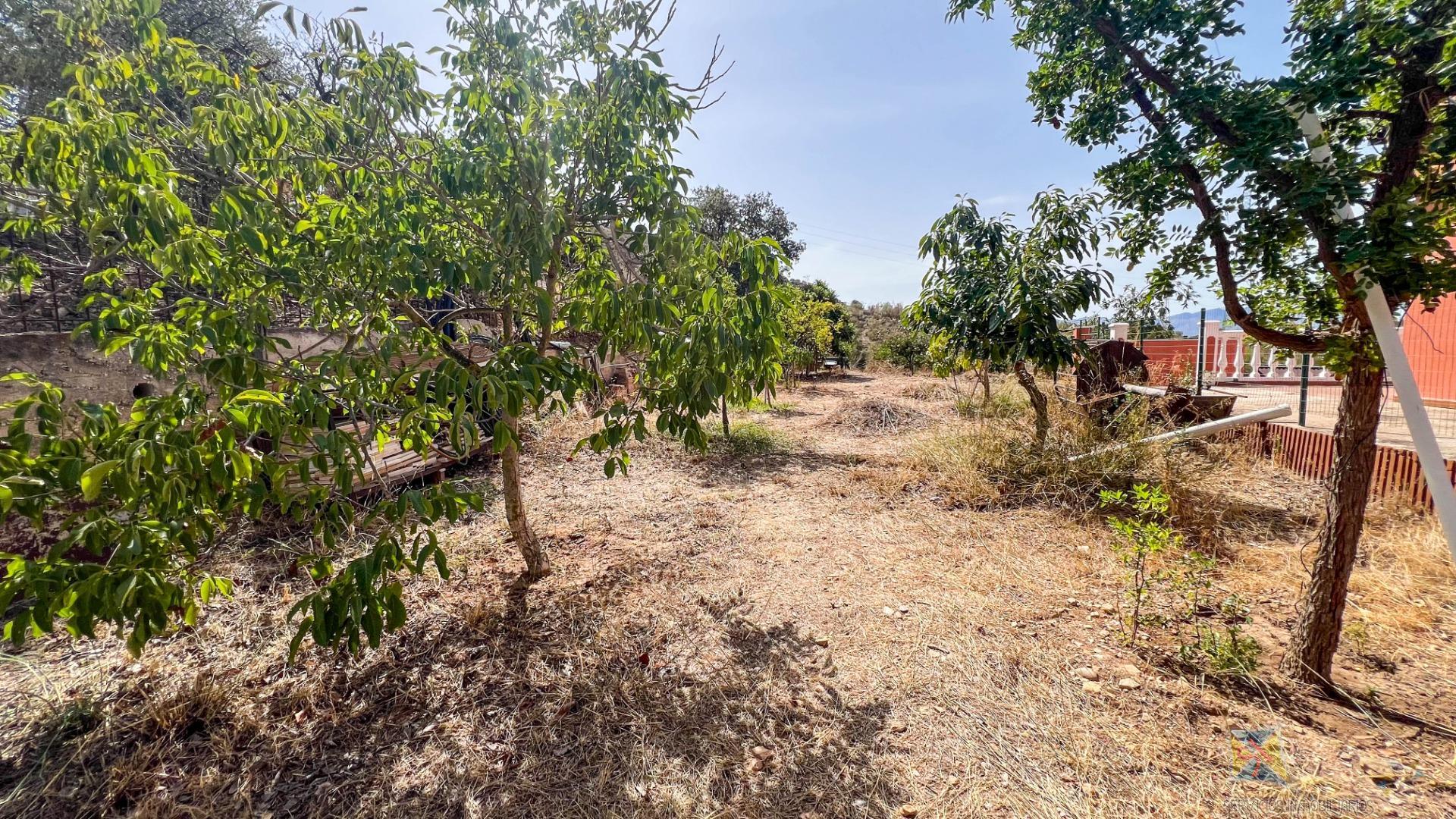 Venta de casa en Campanillas