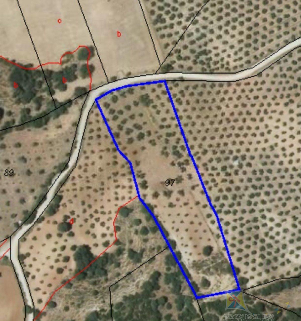 For sale of land in Archidona
