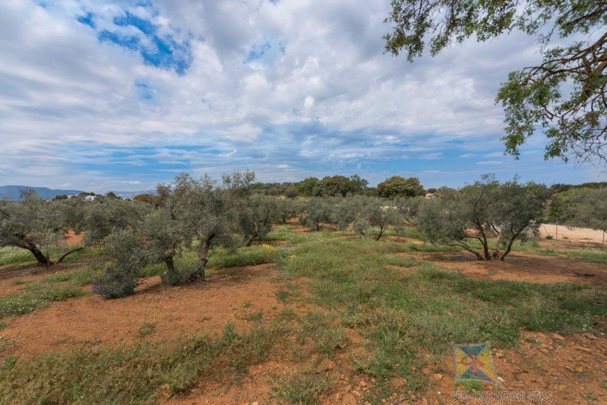 For sale of land in Archidona