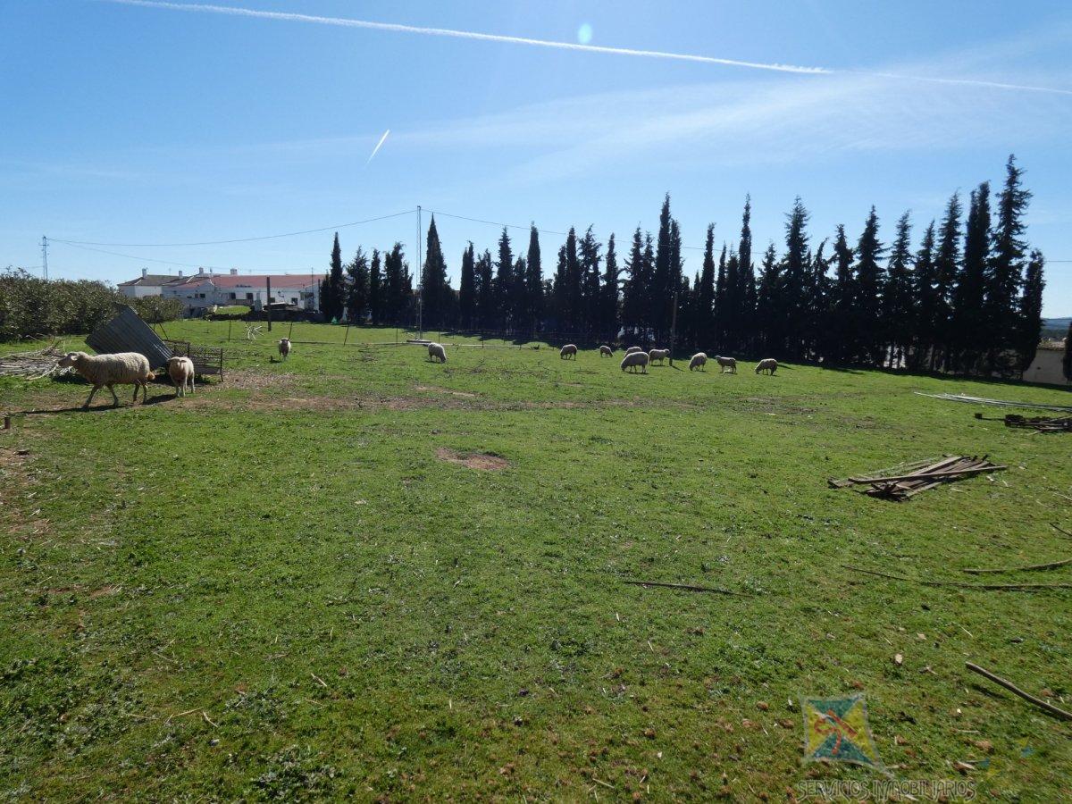For sale of land in Higuera de la Sierra