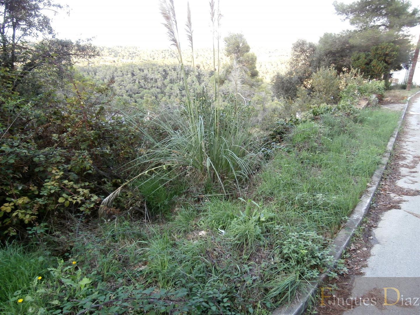 For sale of land in Palafolls