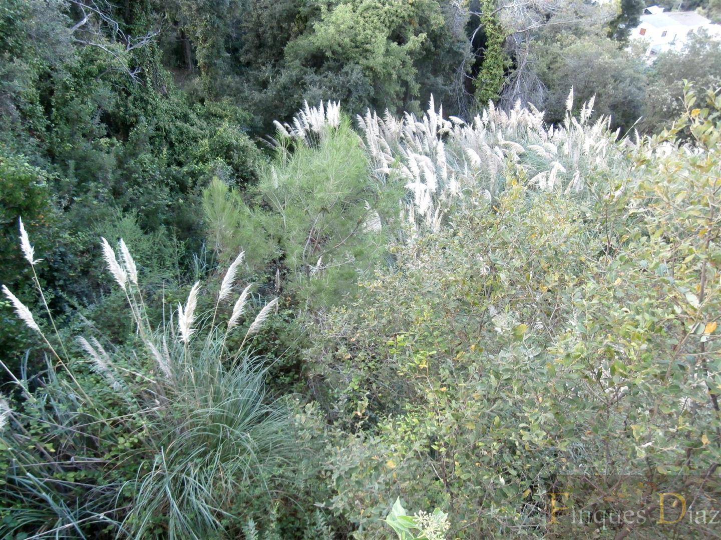 Venta de terreno en Palafolls