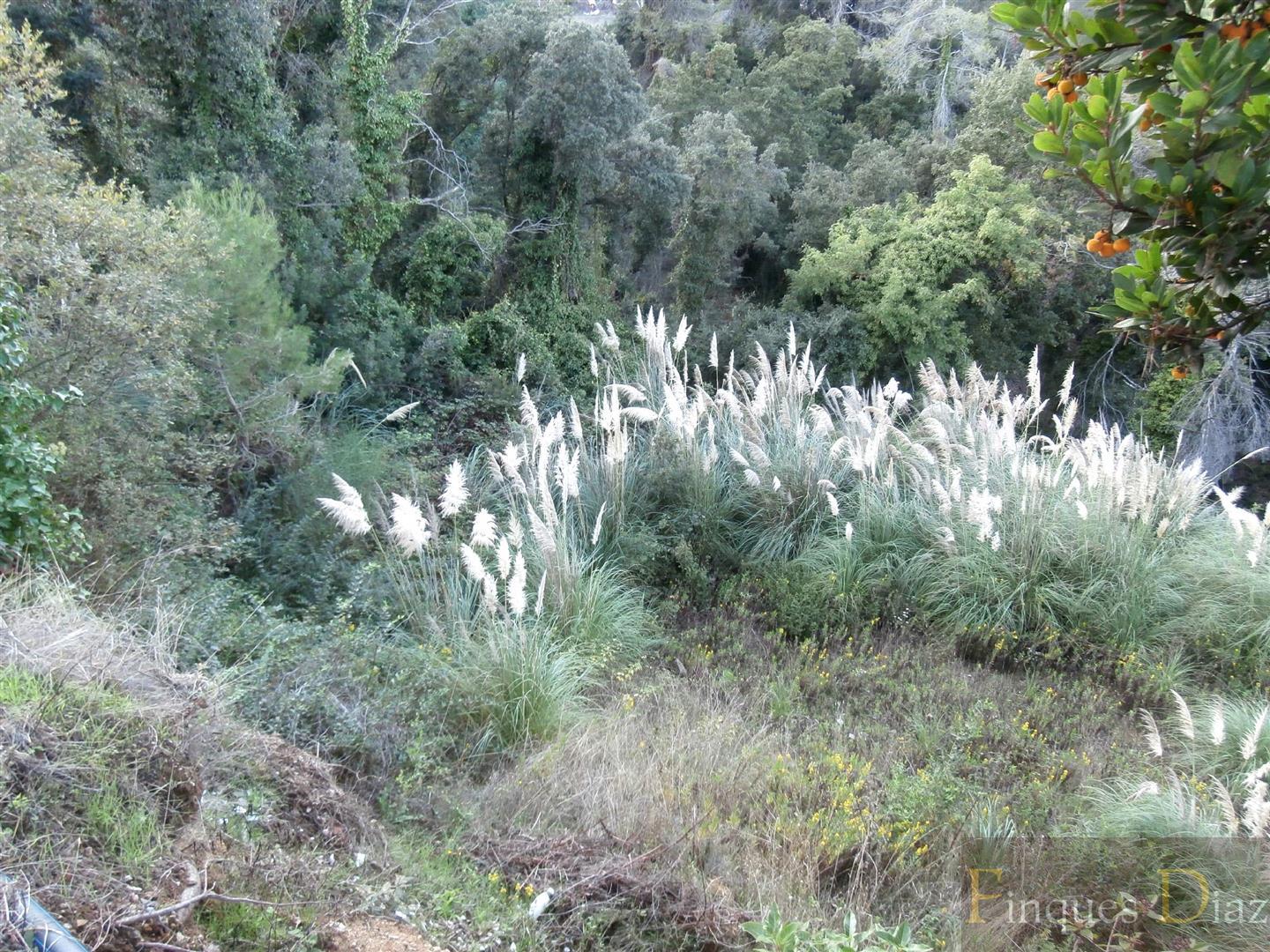 Venta de terreno en Palafolls