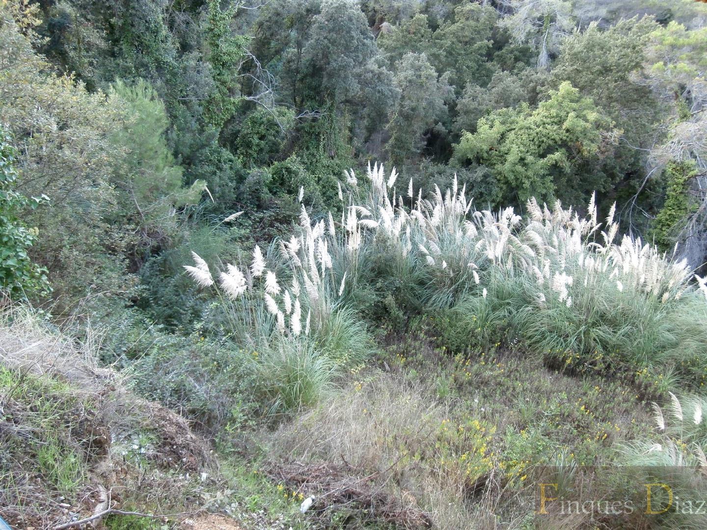 Venta de terreno en Palafolls