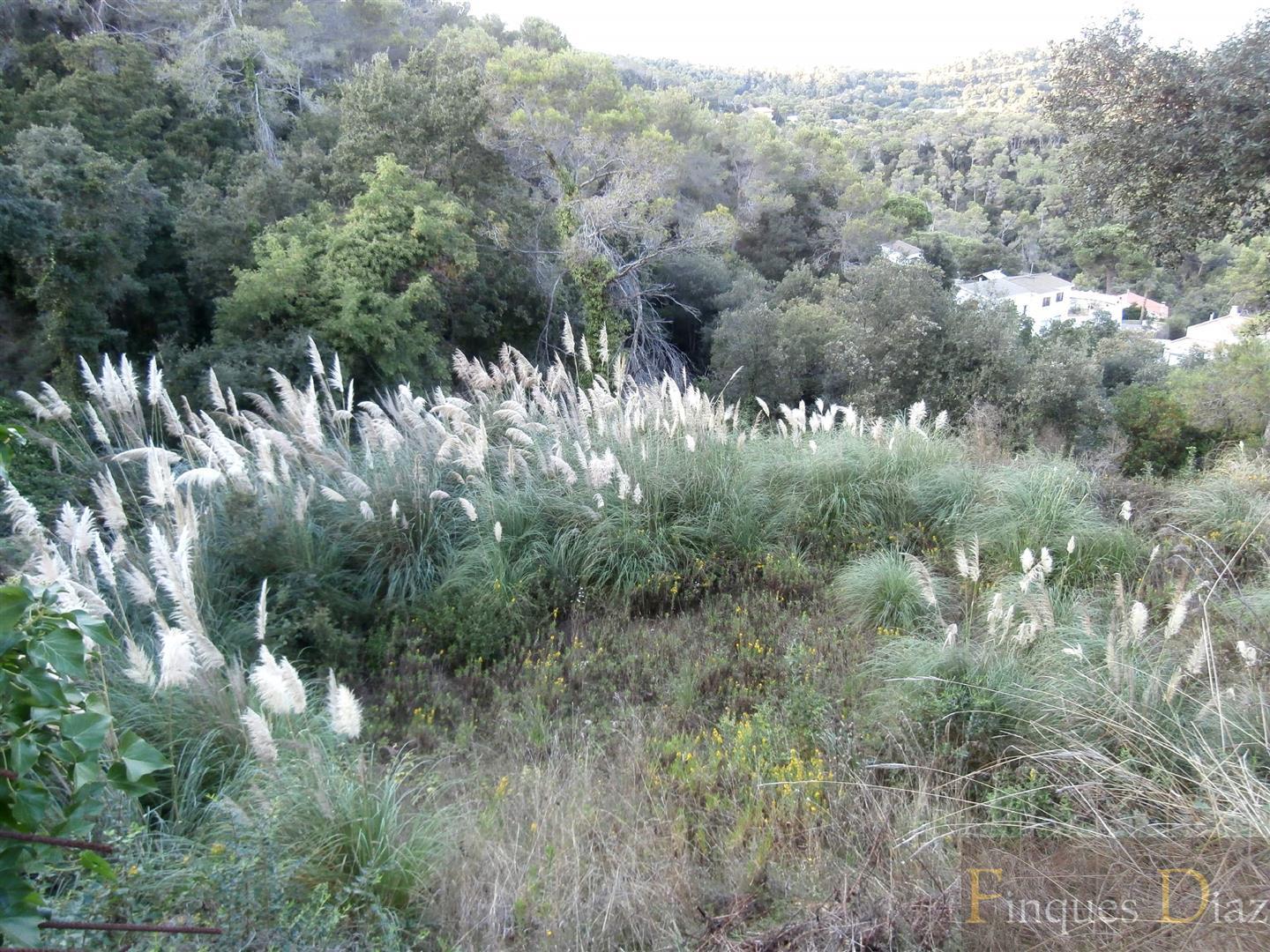 Venta de terreno en Palafolls