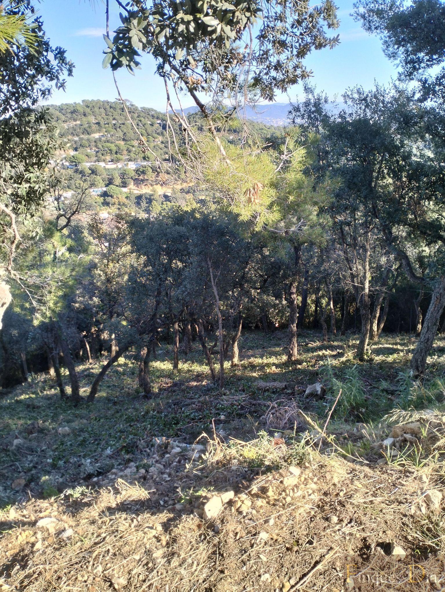 For sale of land in Palafolls