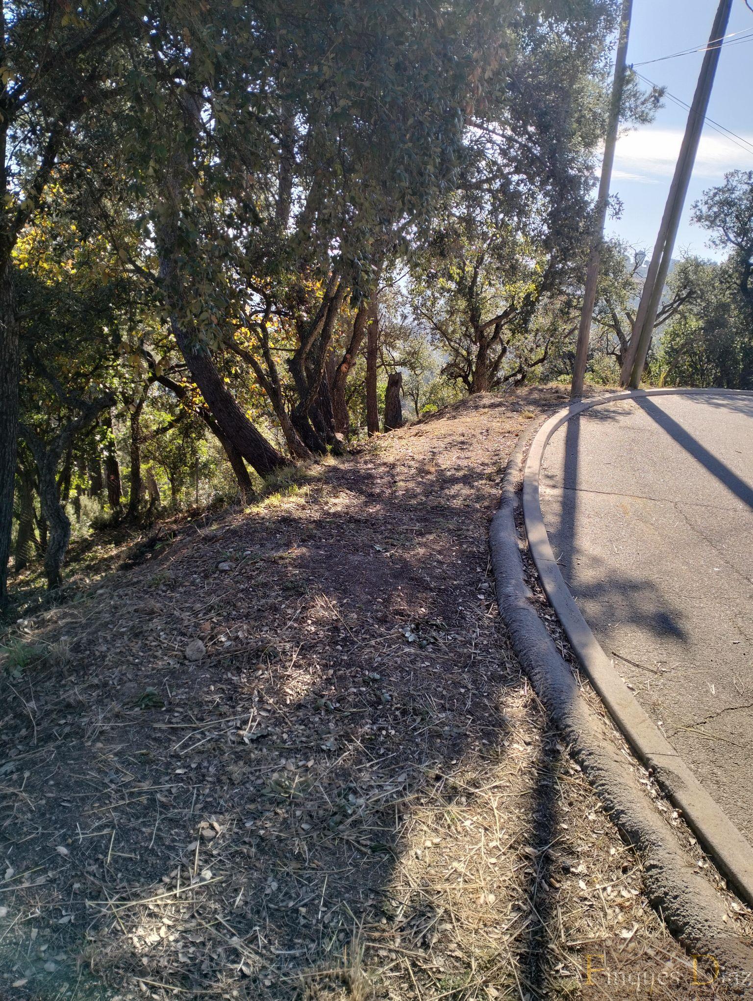 For sale of land in Palafolls