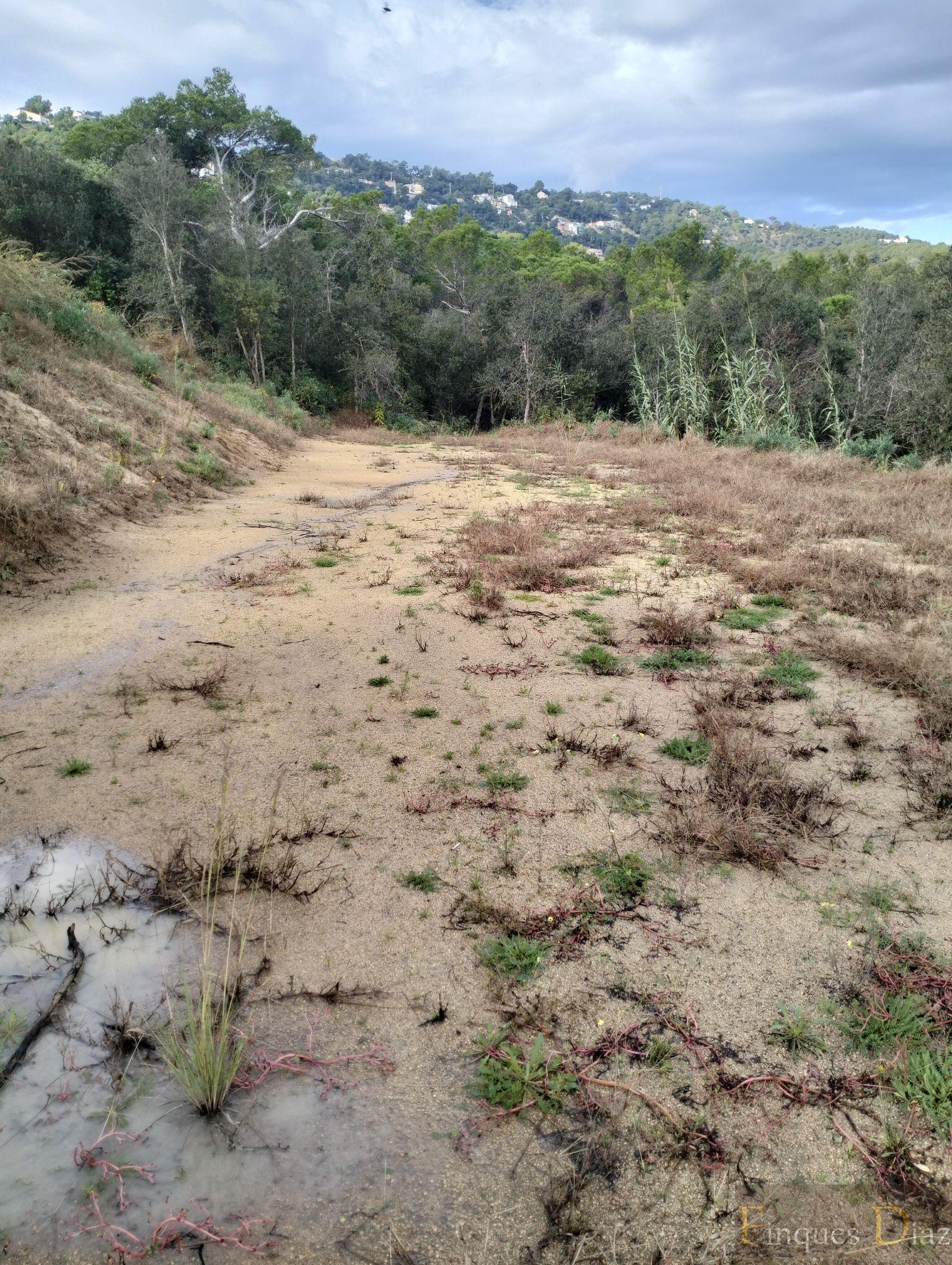 Ground