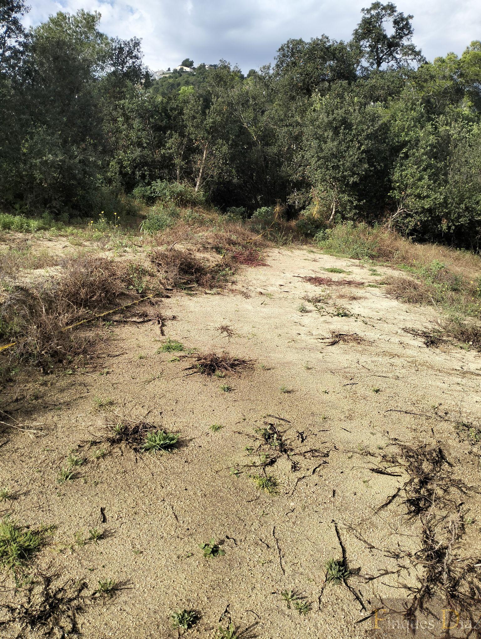 For sale of land in Palafolls
