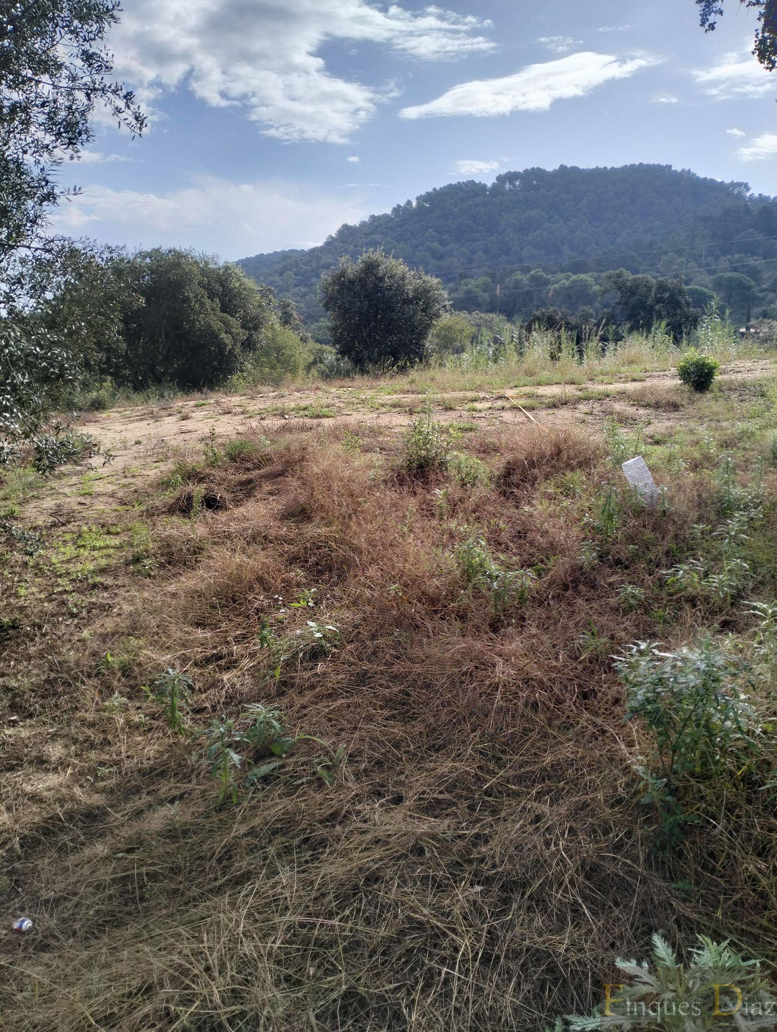 For sale of land in Palafolls