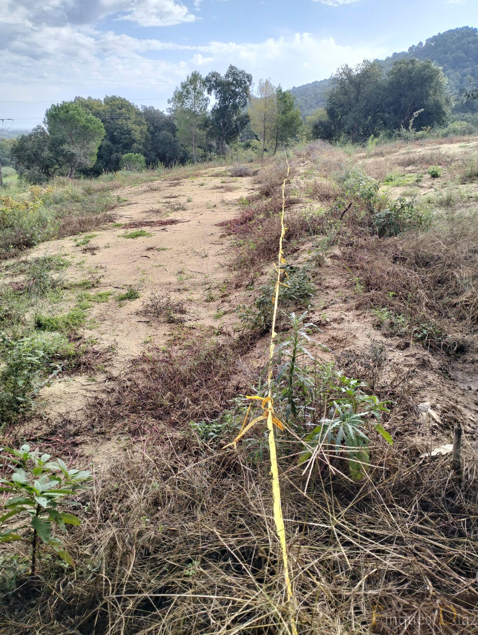 For sale of land in Palafolls