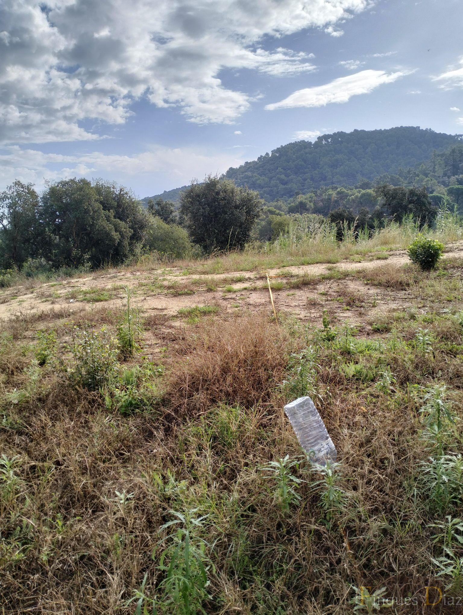 For sale of land in Palafolls