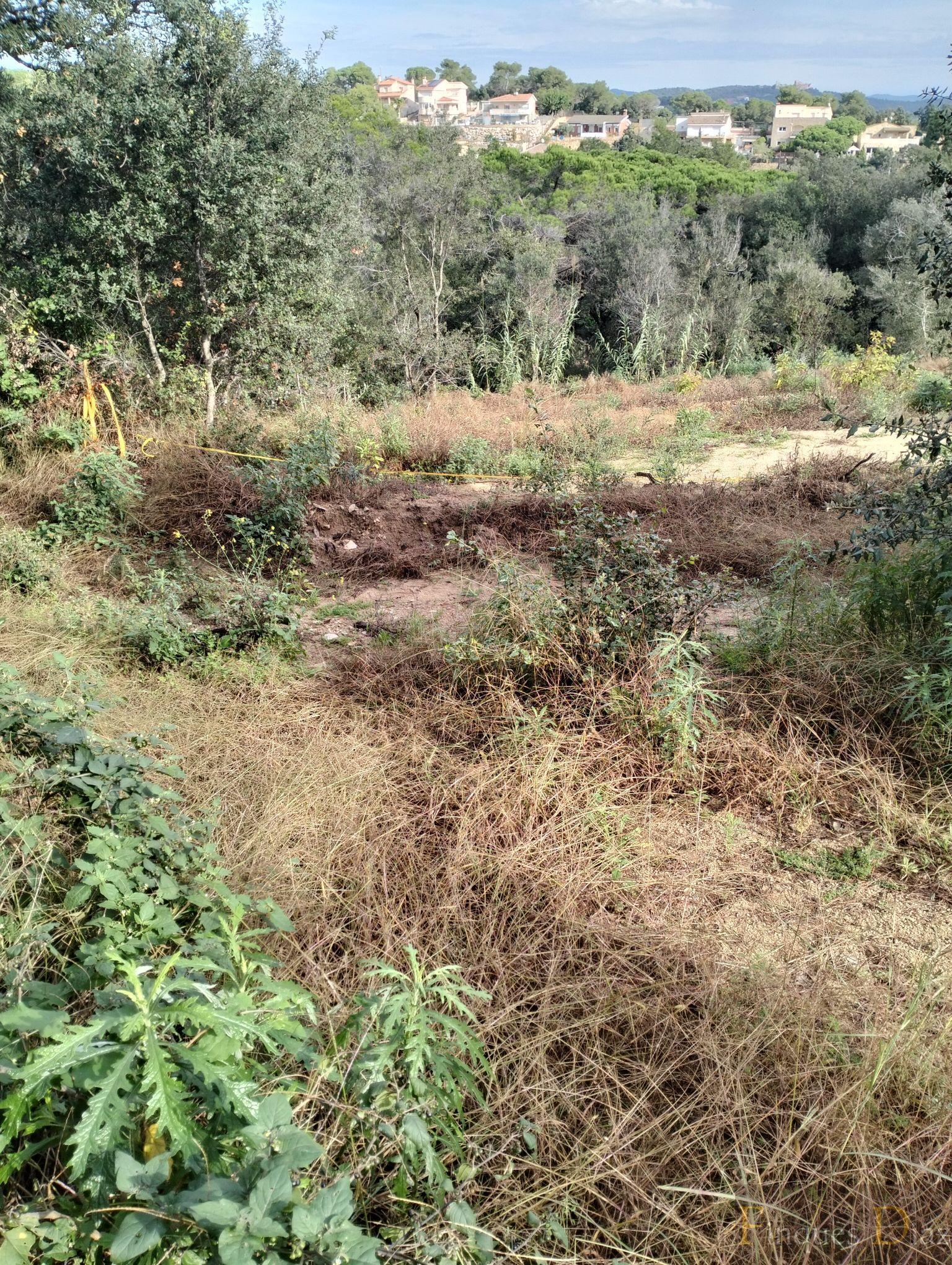 For sale of land in Palafolls