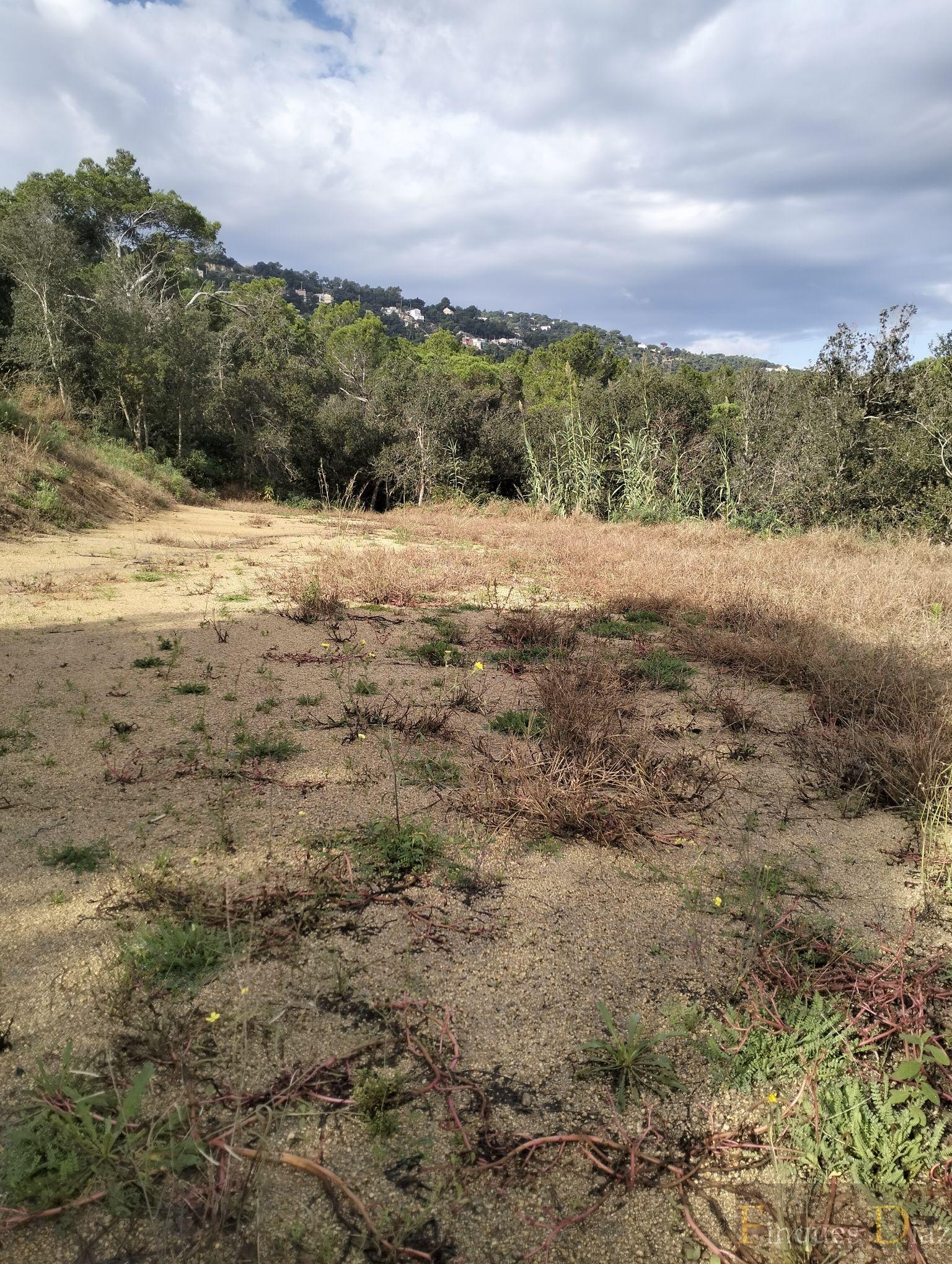 For sale of land in Palafolls