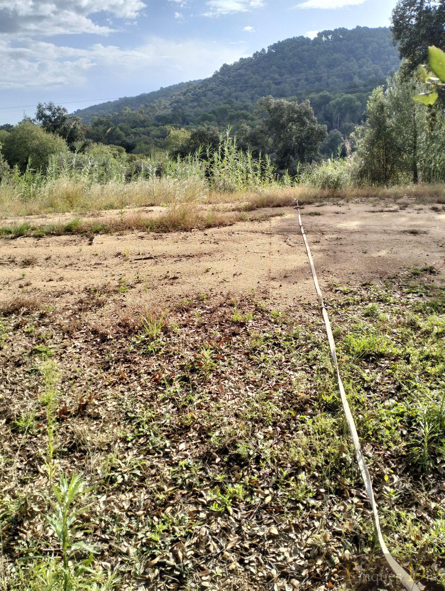 For sale of land in Palafolls
