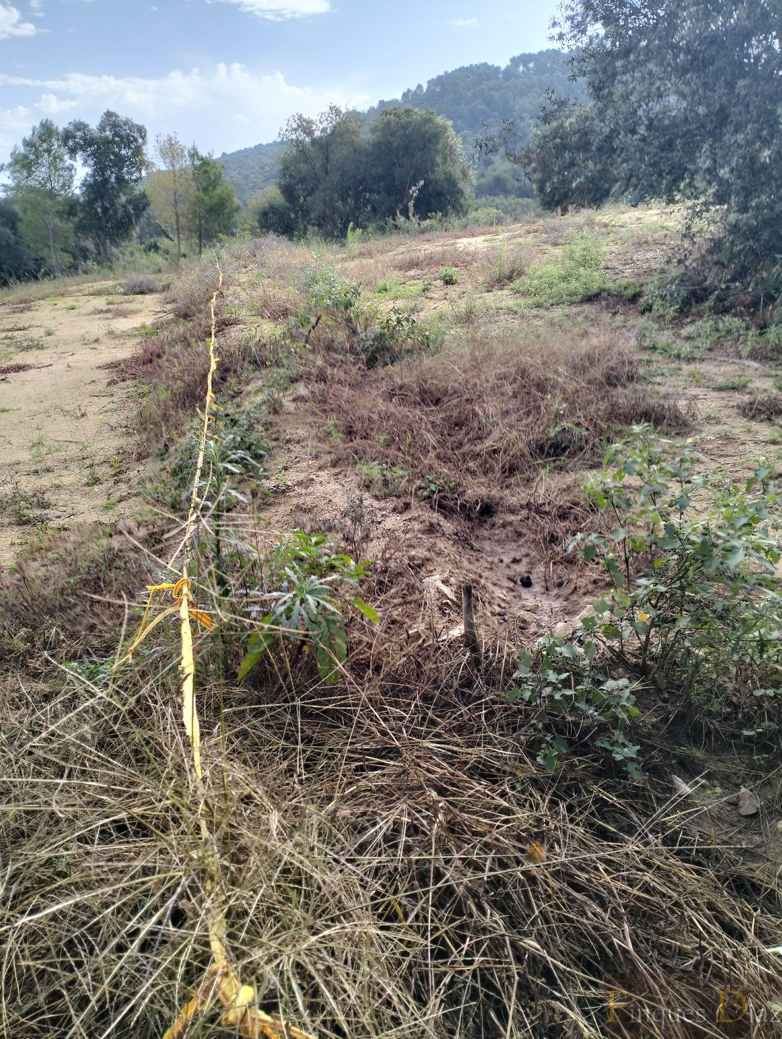 For sale of land in Palafolls
