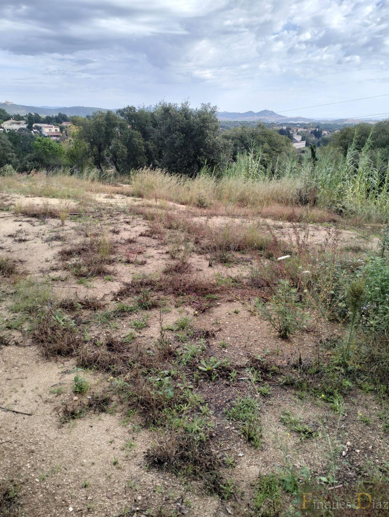 For sale of land in Palafolls