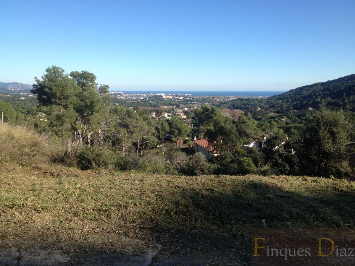For sale of land in Palafolls