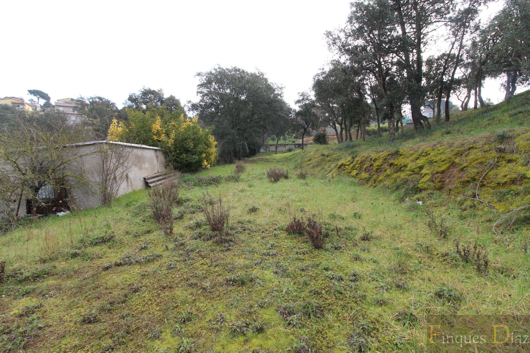 Venta de finca rústica en Palafolls
