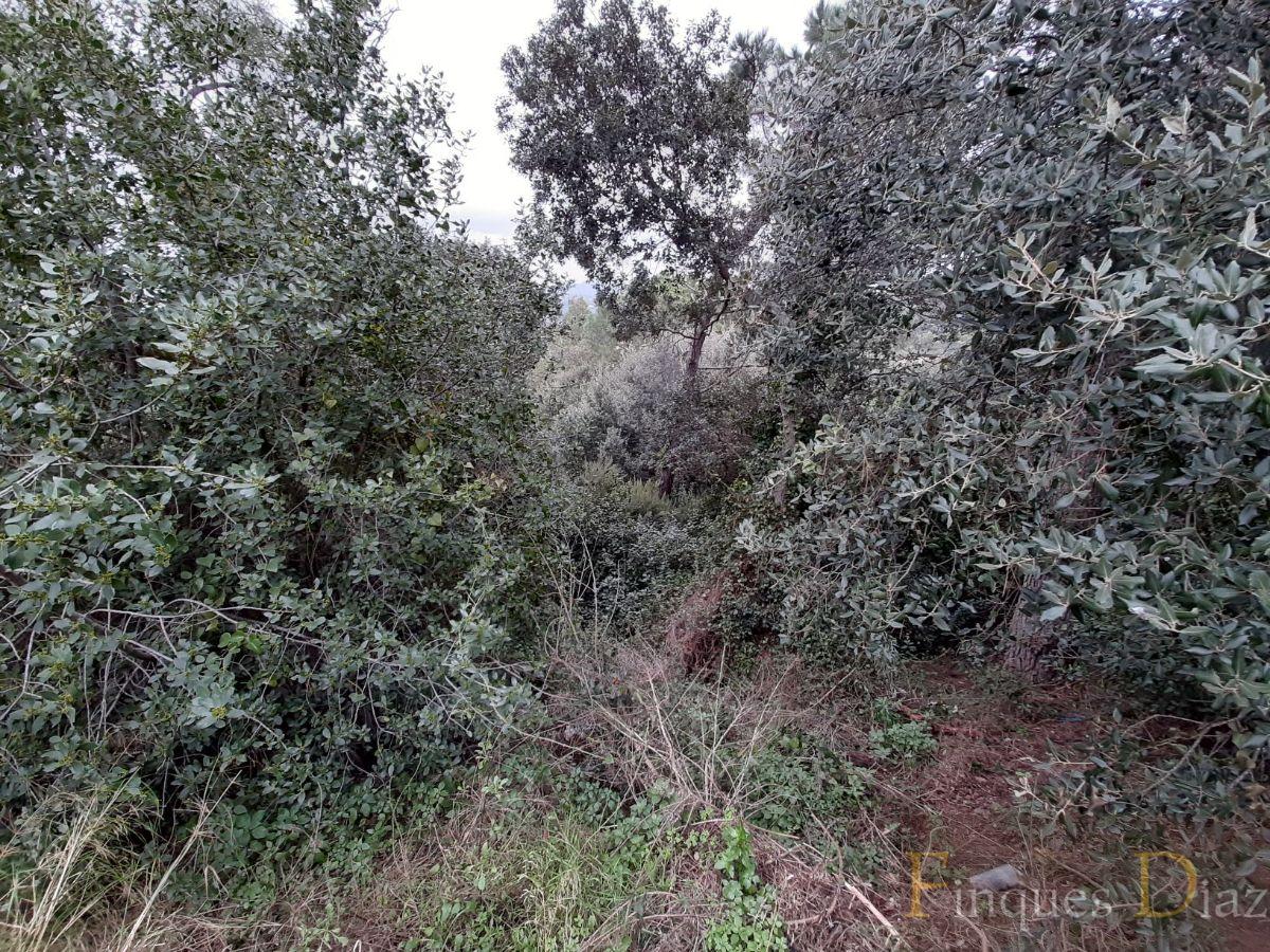 For sale of land in Palafolls