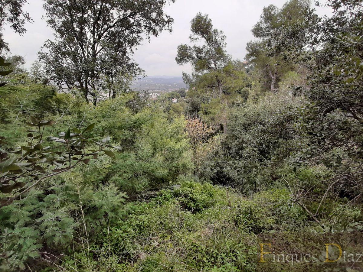 For sale of land in Palafolls