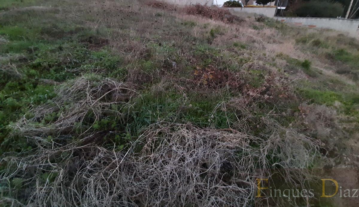 For sale of land in Palafolls