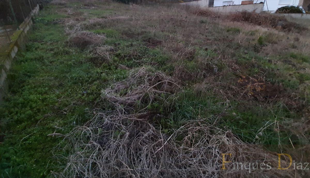 For sale of land in Palafolls