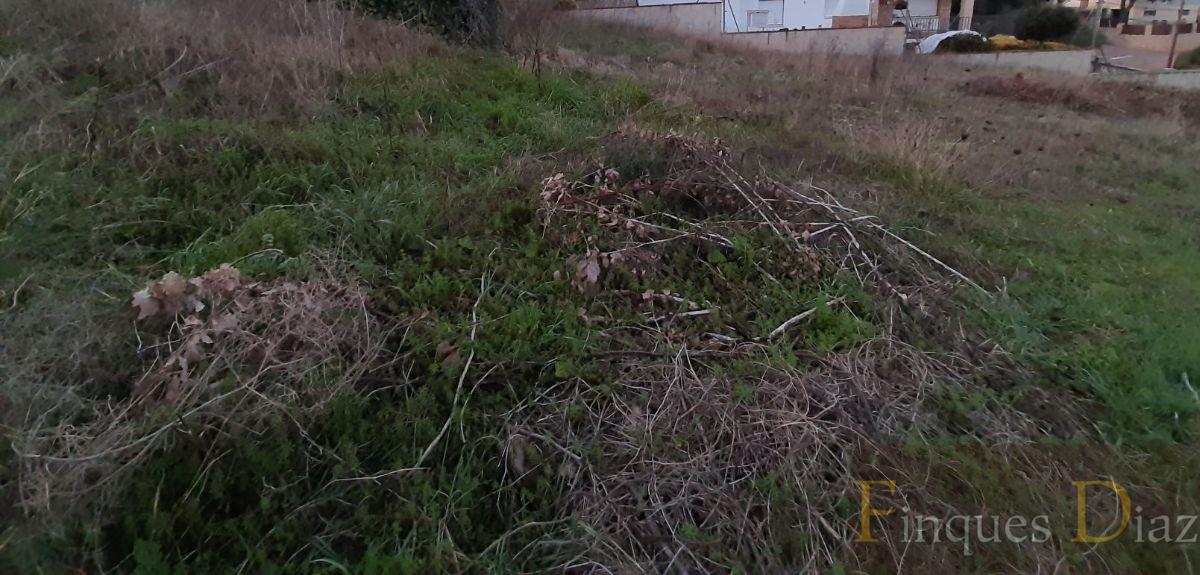 For sale of land in Palafolls