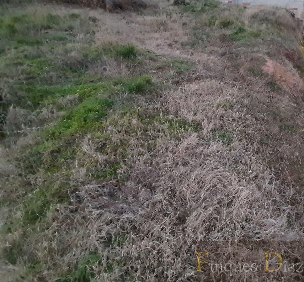 For sale of land in Palafolls