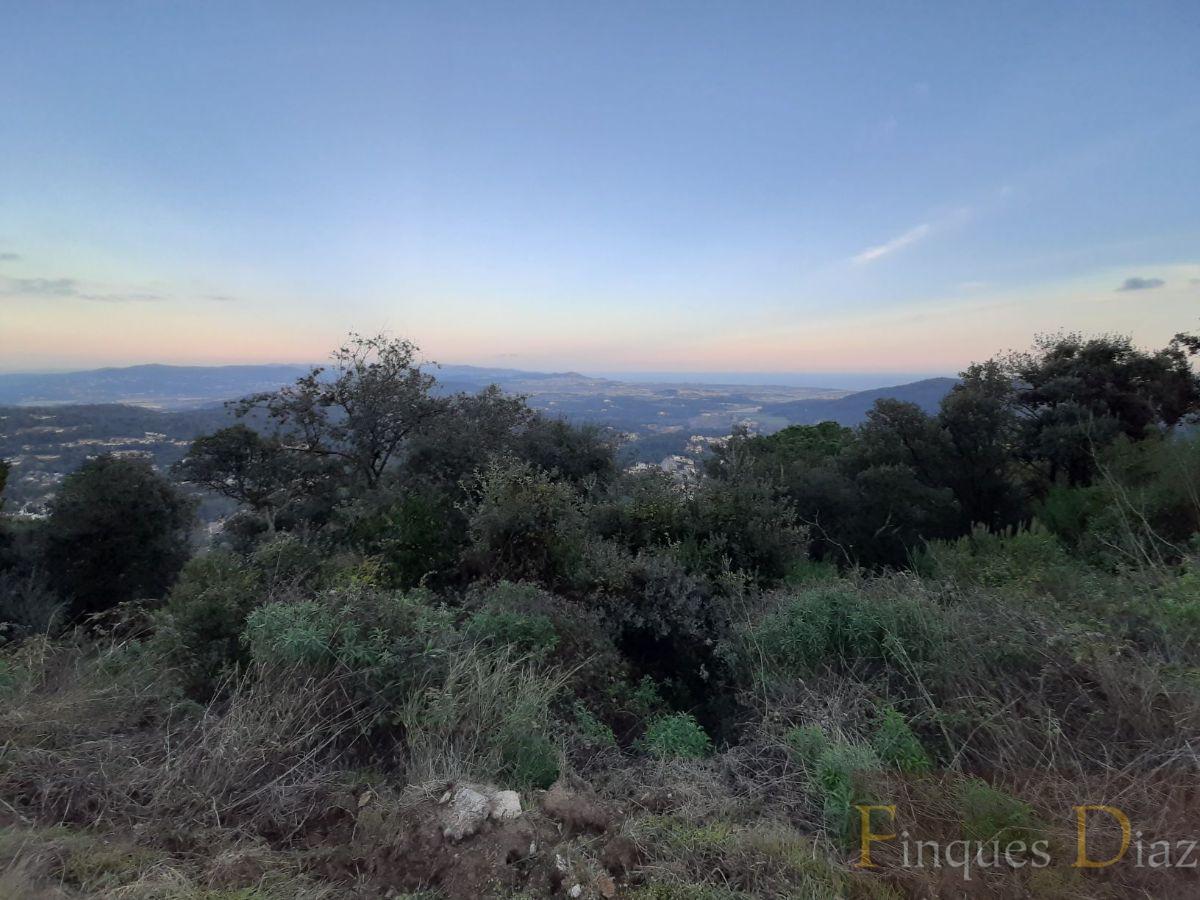 For sale of land in Palafolls