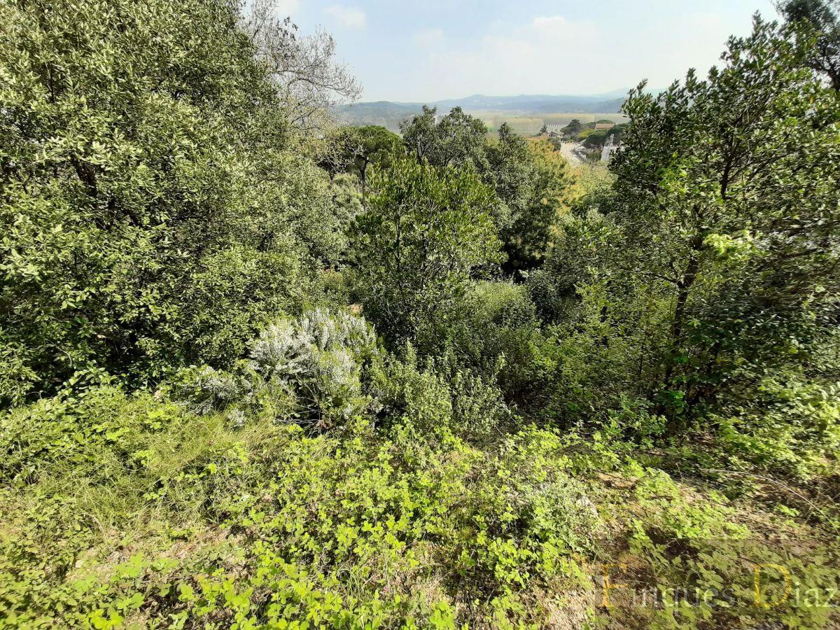 For sale of land in Fogars de la Selva