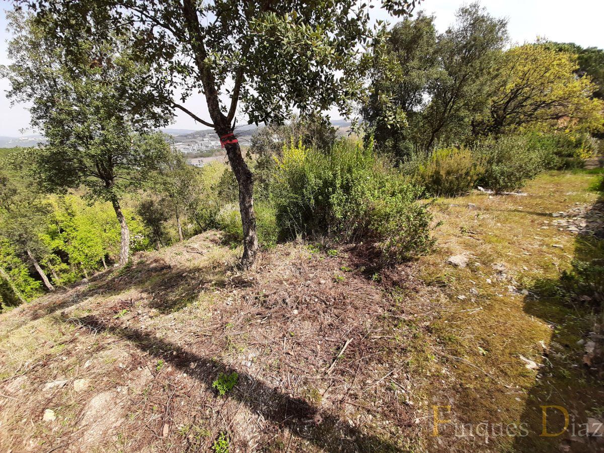 For sale of land in Fogars de la Selva