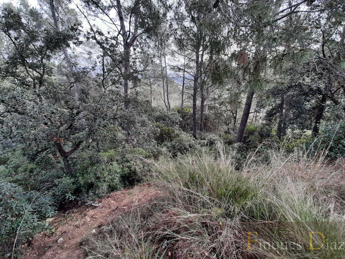 Venta de terreno en Palafolls