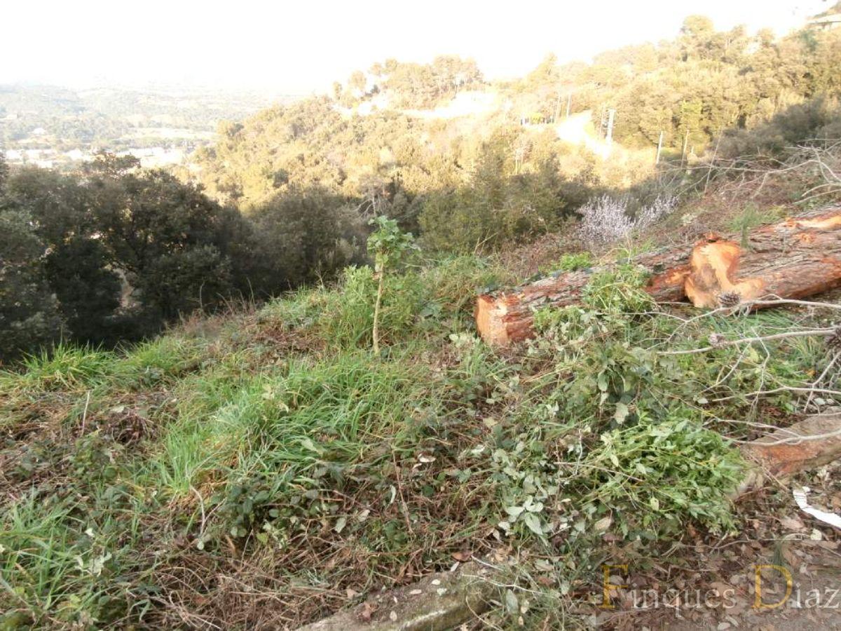 For sale of land in Palafolls