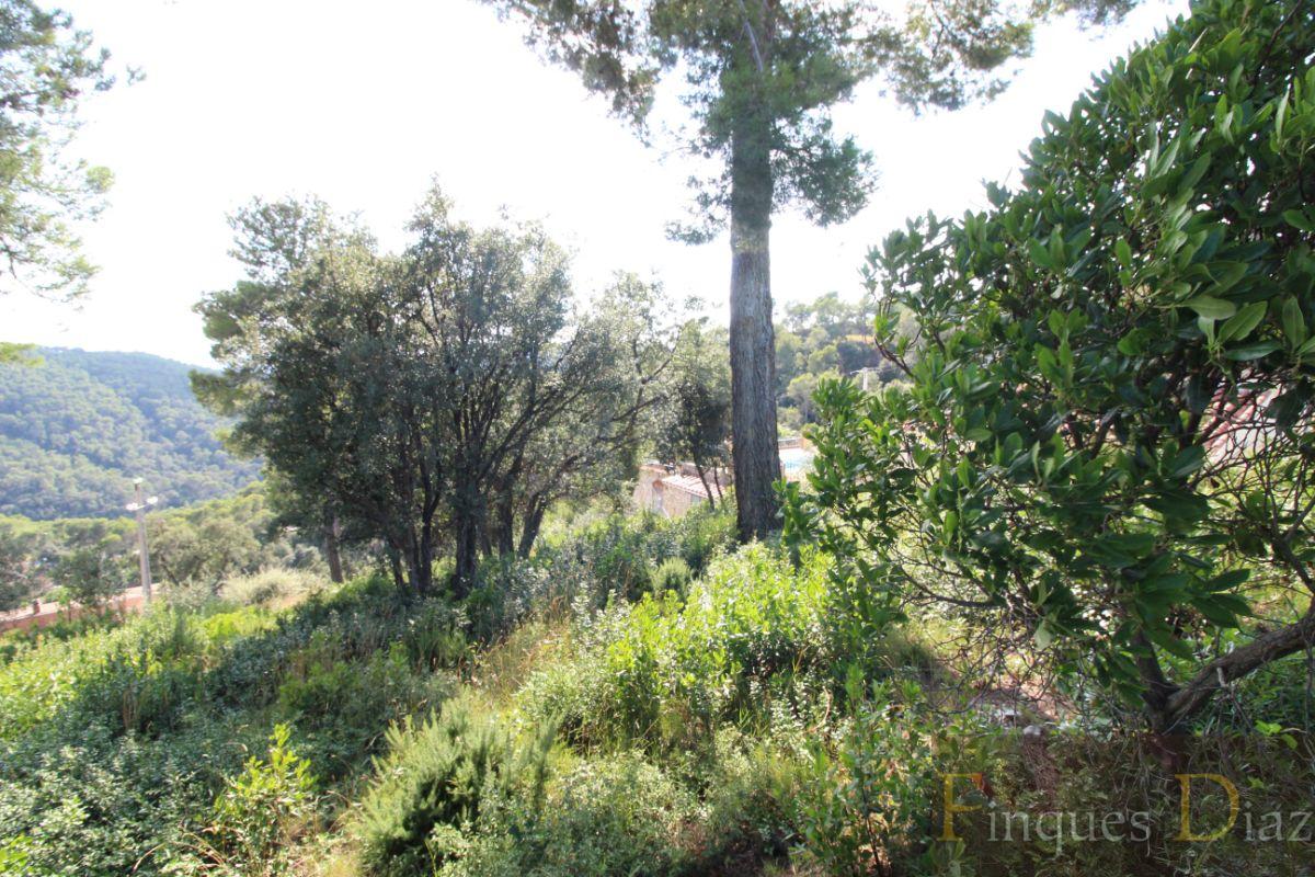 For sale of land in Palafolls