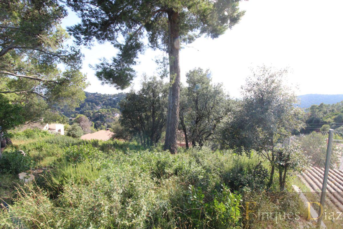 For sale of land in Palafolls