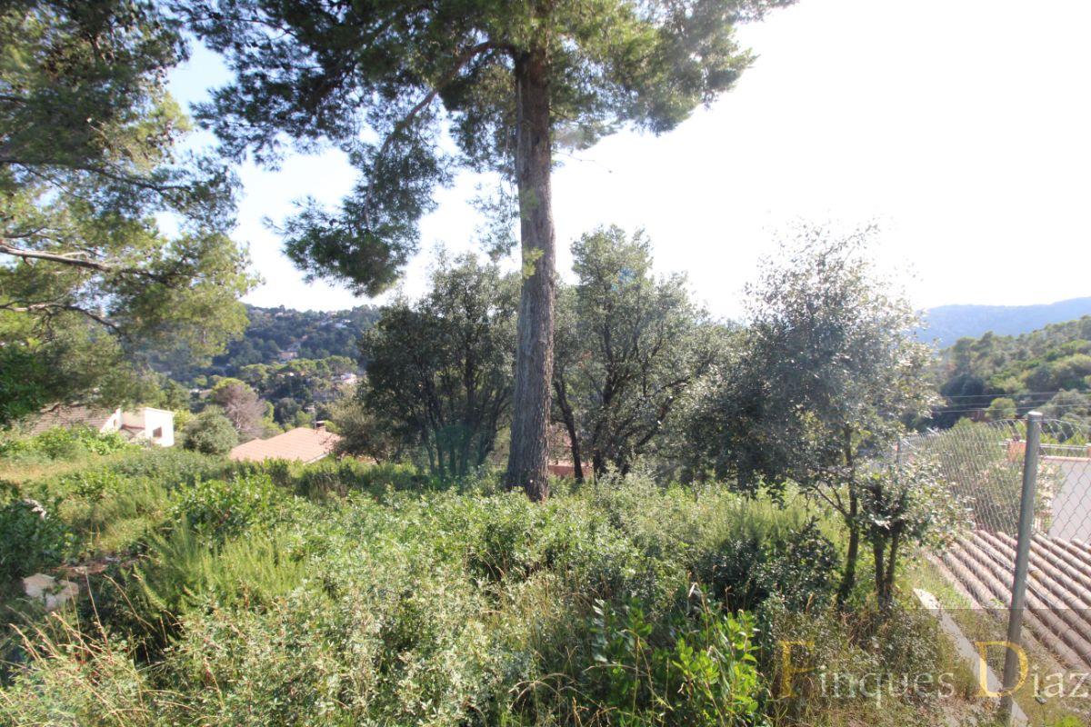 For sale of land in Palafolls