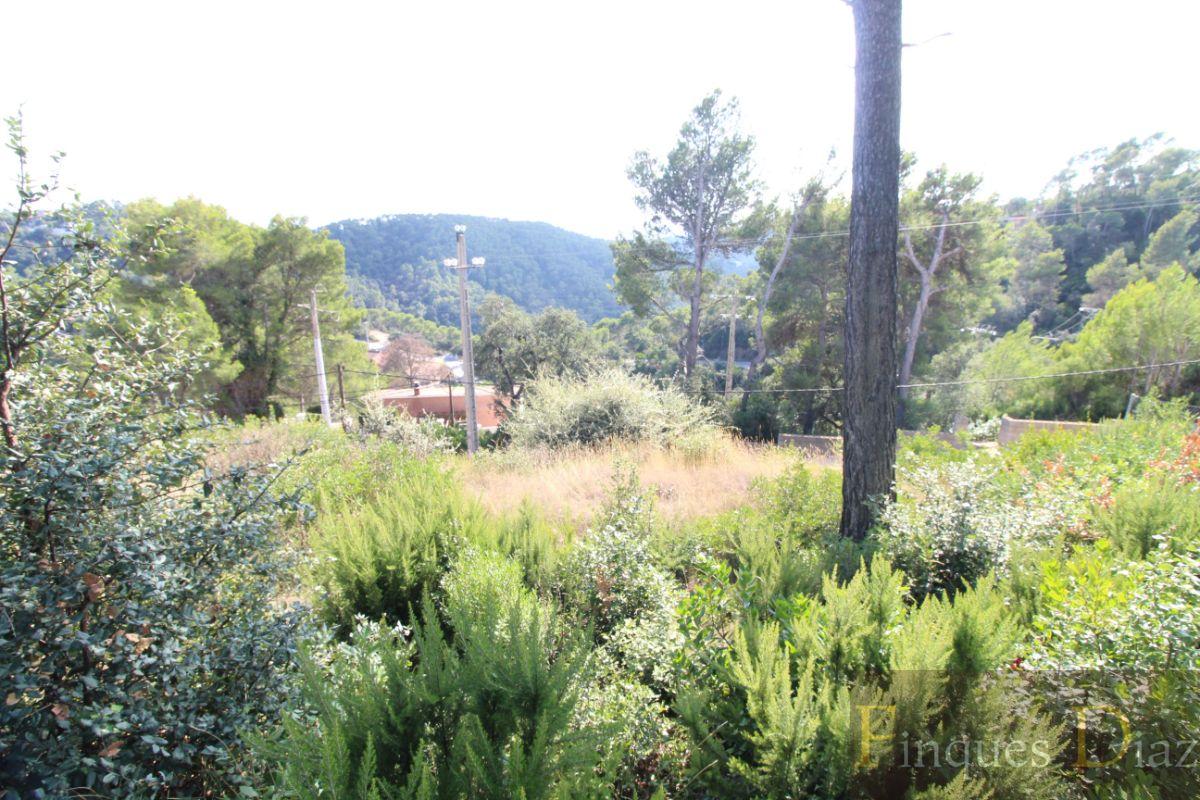 For sale of land in Palafolls