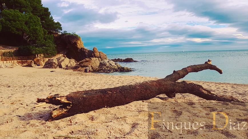 Venta de terreno en Blanes