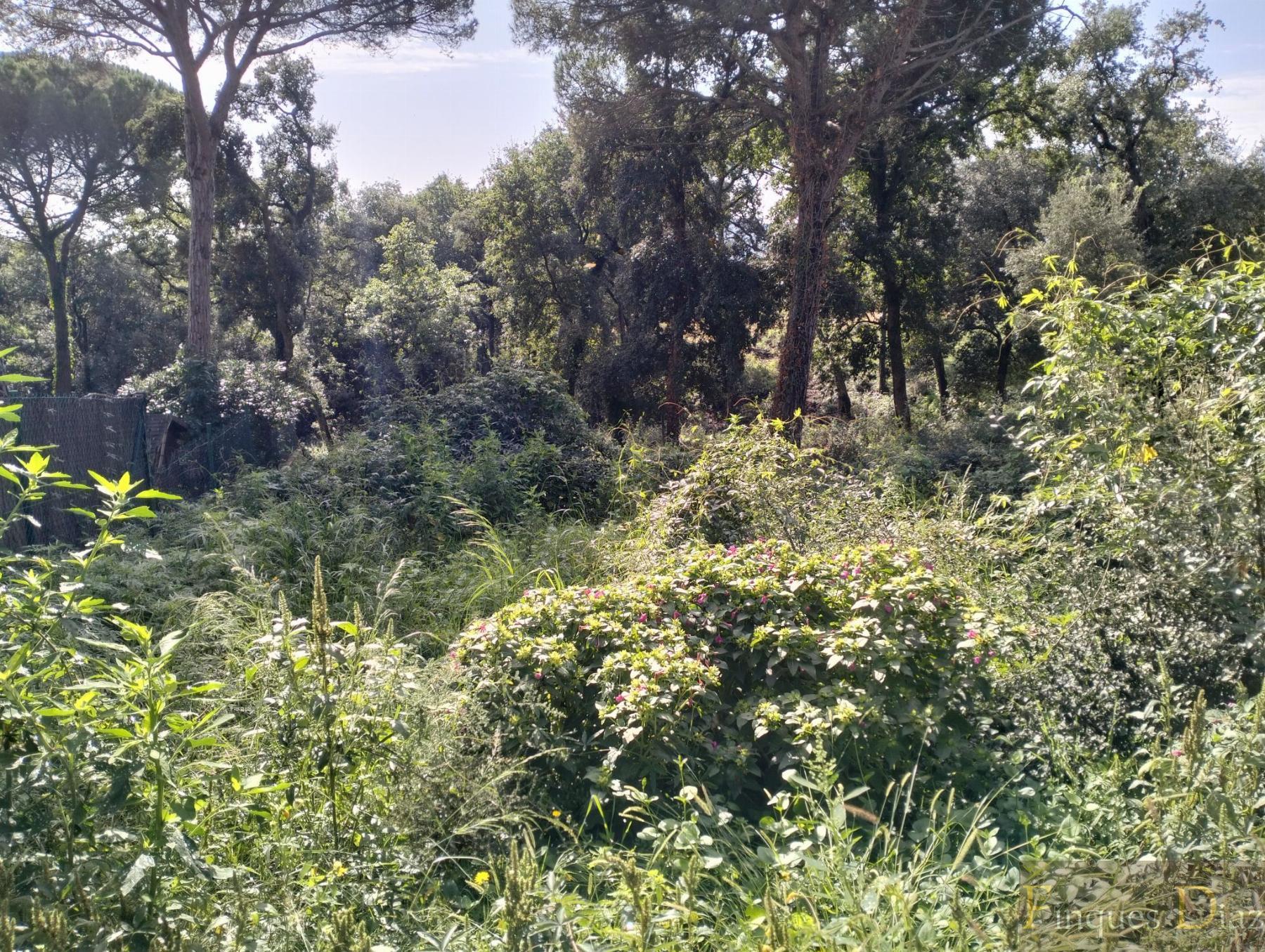 For sale of land in Palafolls