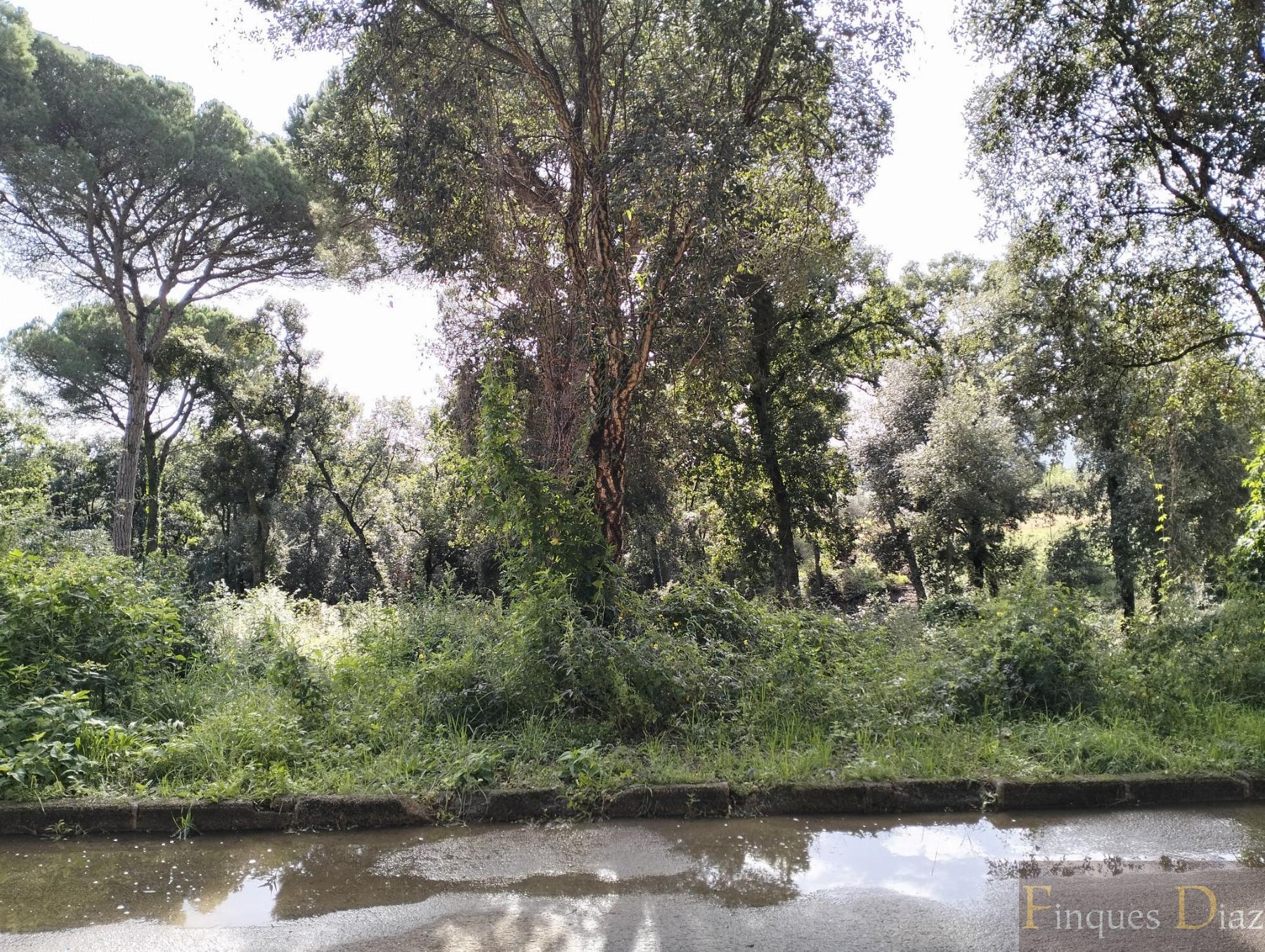 For sale of land in Palafolls
