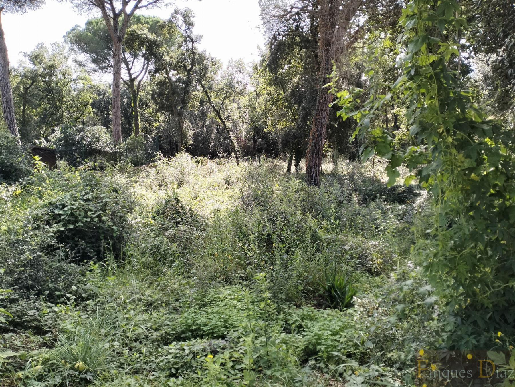 For sale of land in Palafolls