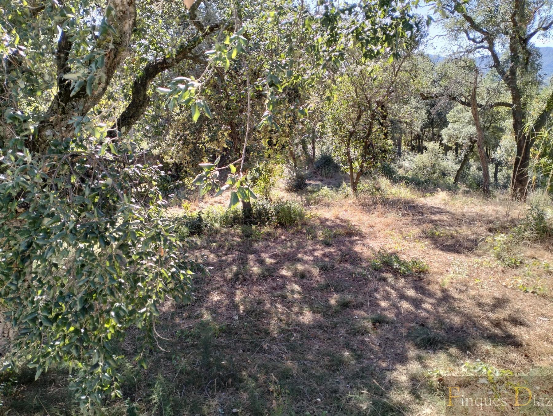 For sale of land in Palafolls