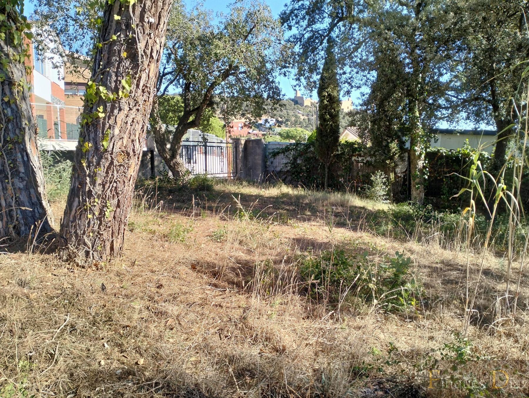 For sale of land in Palafolls