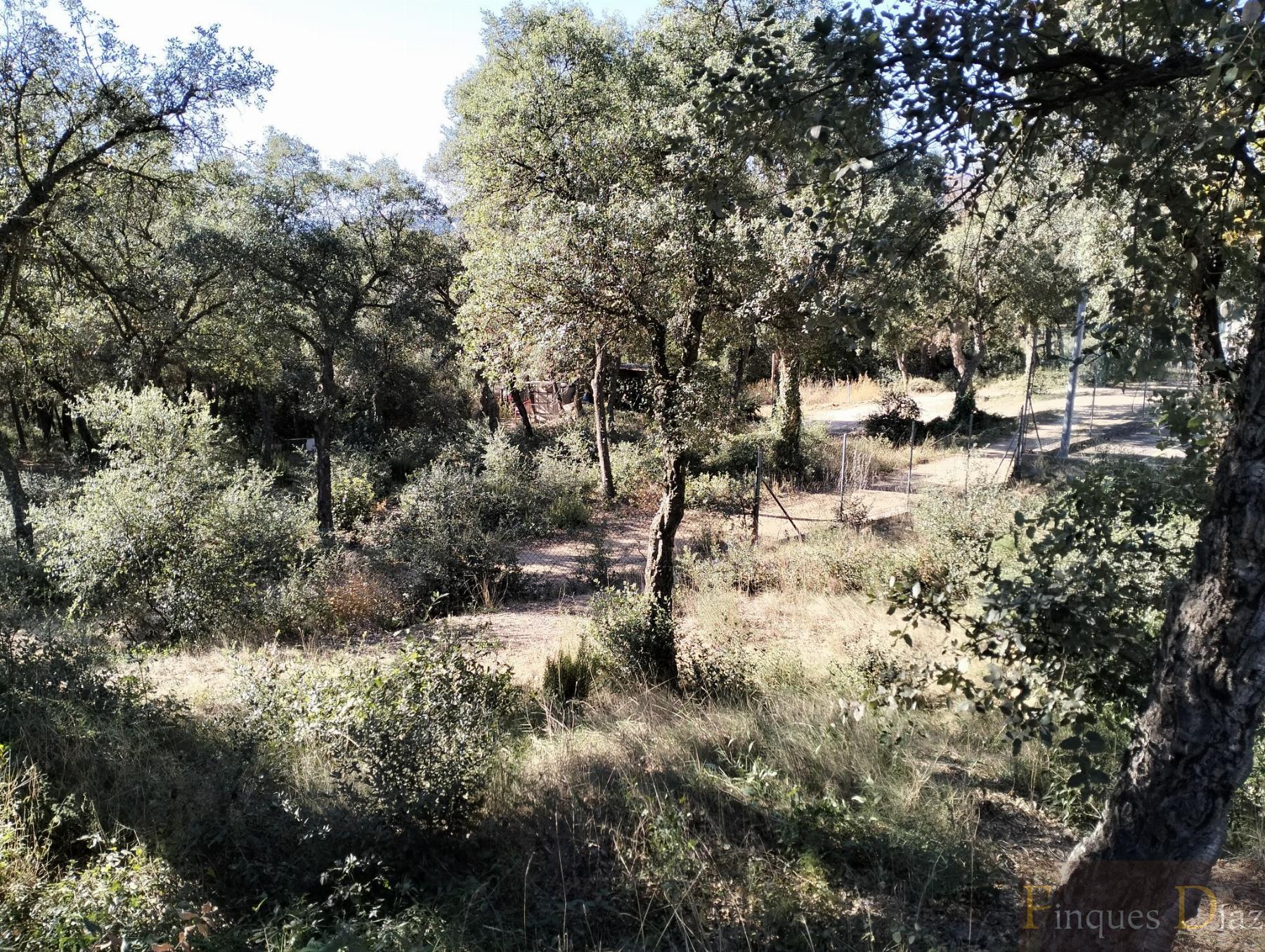 For sale of land in Palafolls