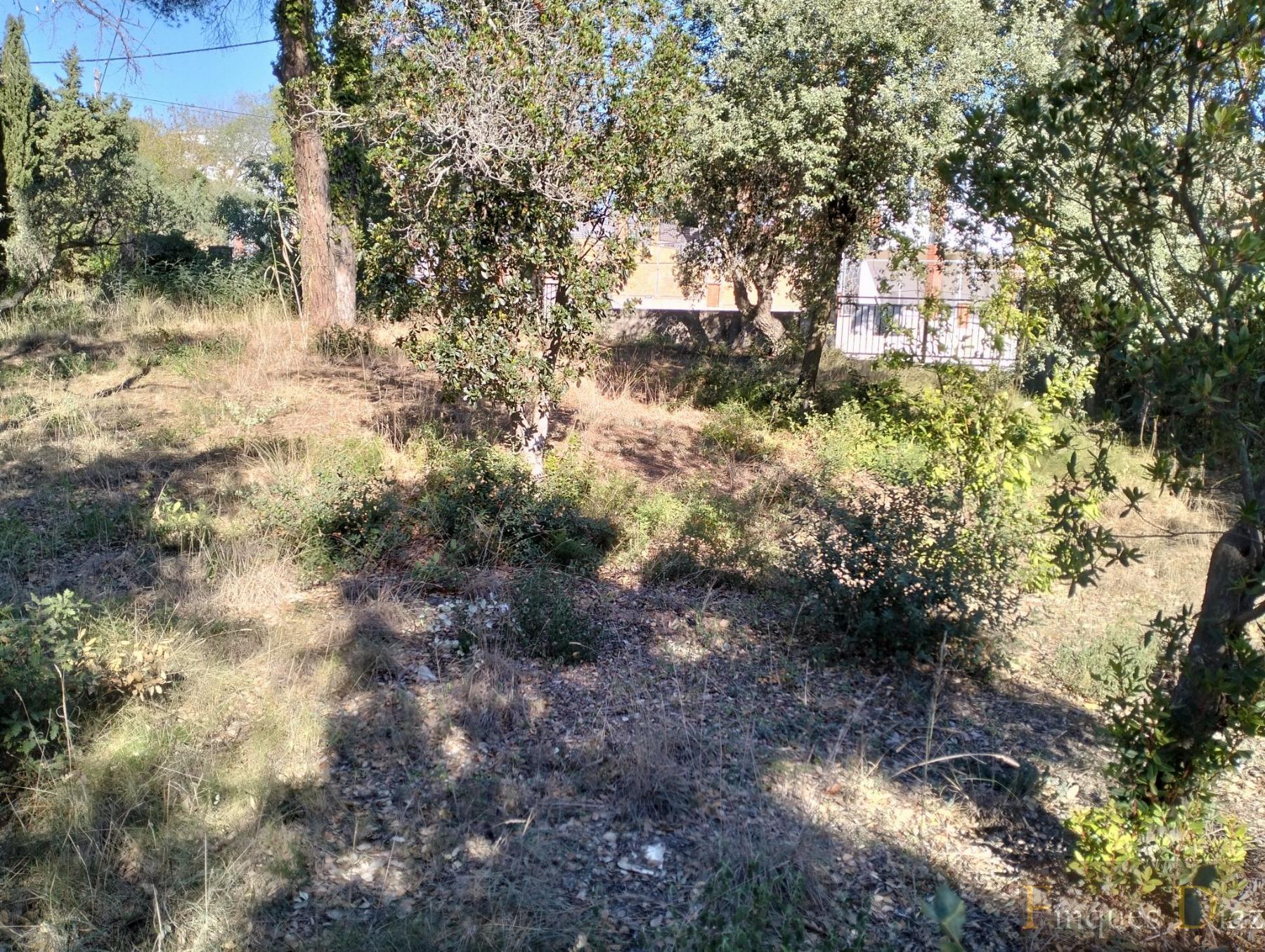 For sale of land in Palafolls