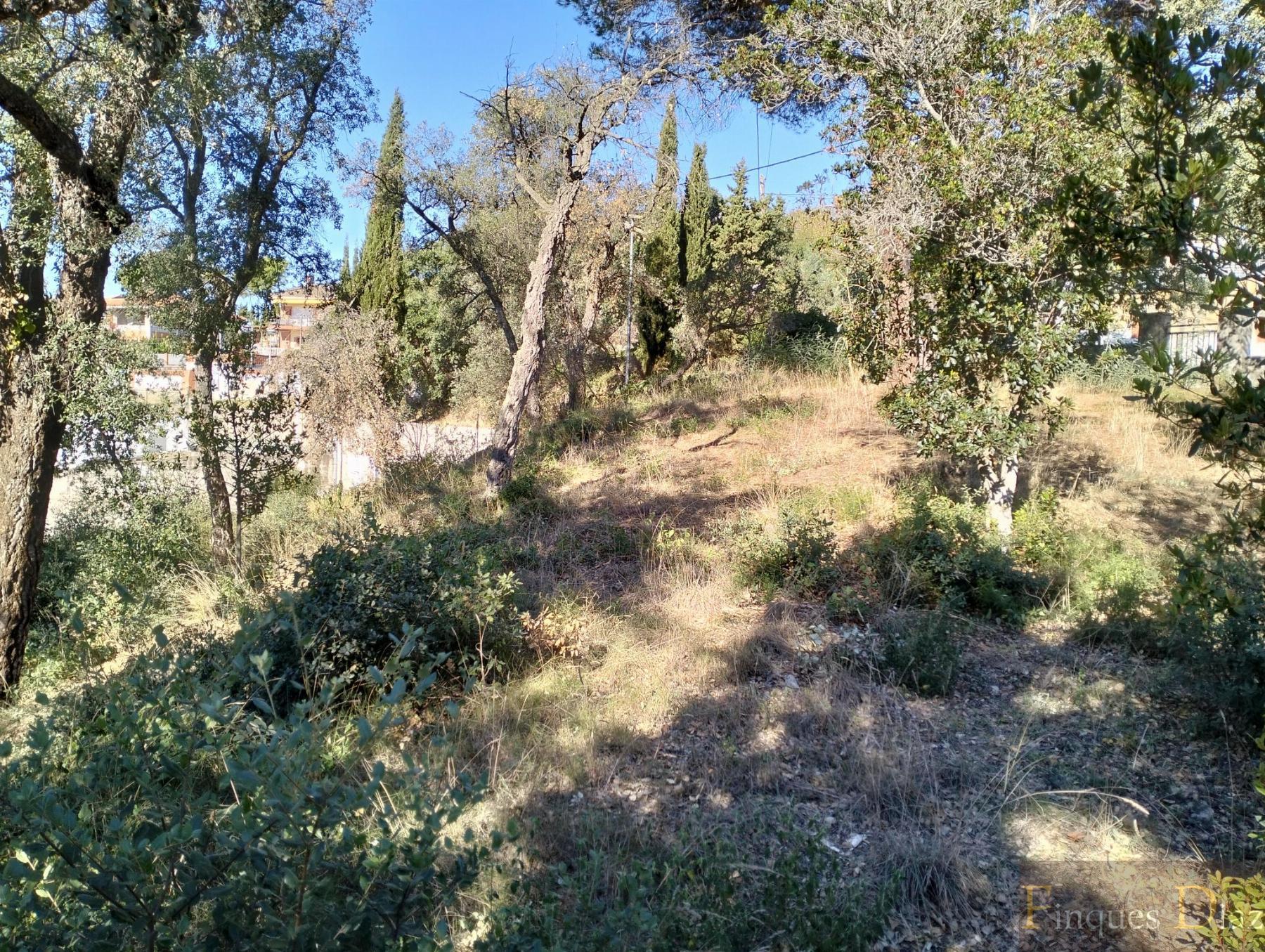 For sale of land in Palafolls