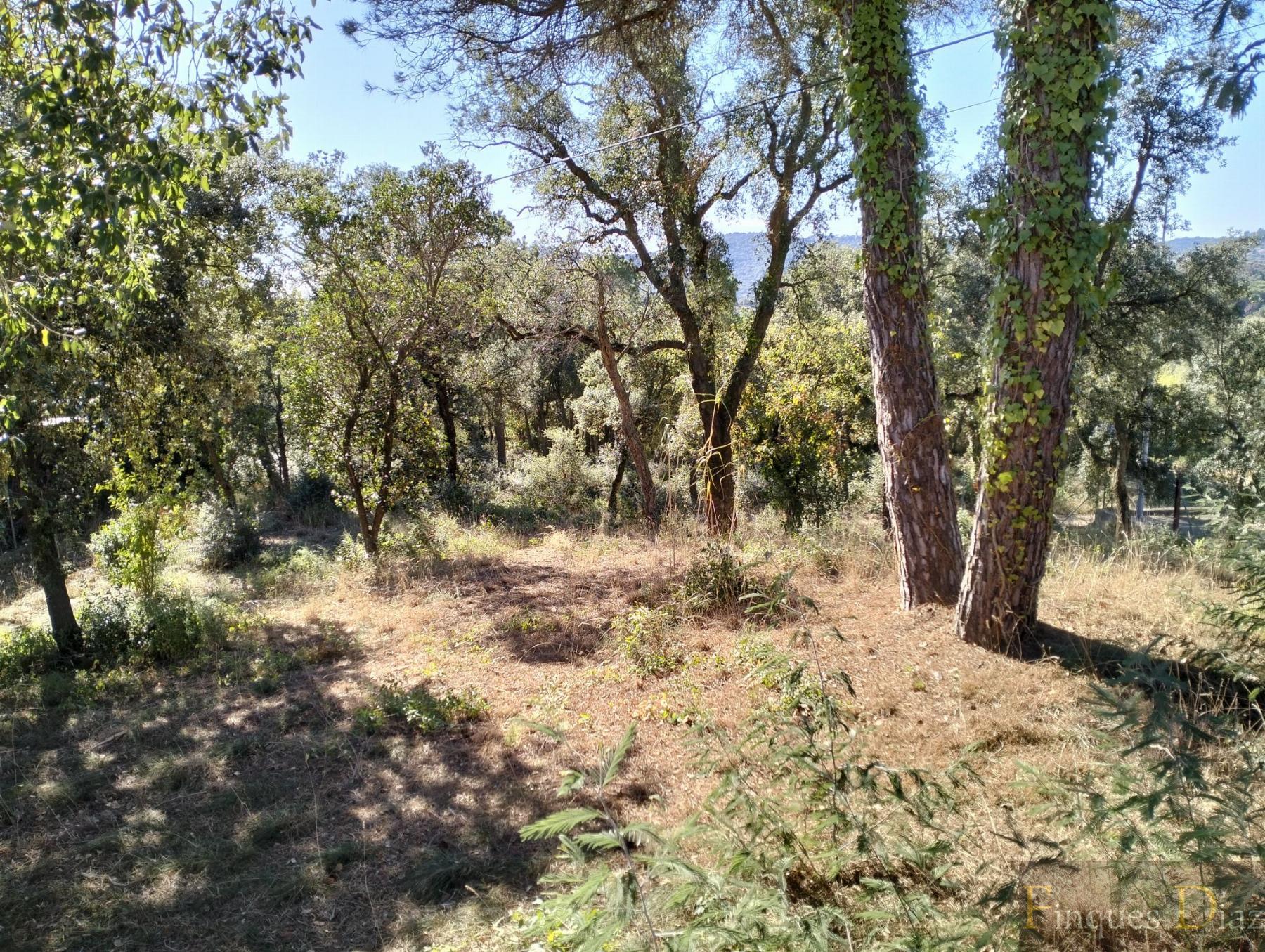 For sale of land in Palafolls